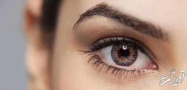 ترفندهای شخصیت شناسی شخصیت شناسی زبان بدن